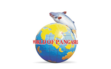 KHUYẾN NGHỊ ANV – NHU CẦU HỒI PHỤC CÙNG NGUỒN CUNG THẮT CHẶT LÀ ĐỘNG LỰC NĂM 2024