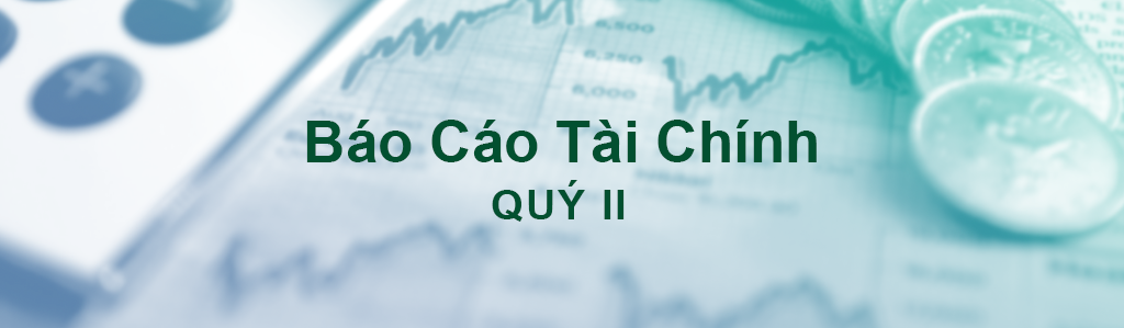 Financial report for the second quarter of 2025